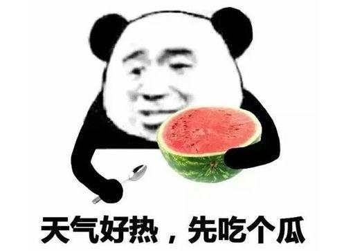 吃瓜表情符号是什么意思图片,网络社交中的幽默与调侃